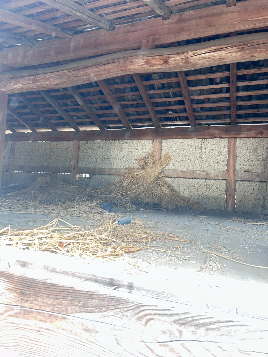 岐阜県中津川市ゴミ屋敷清掃・作業後